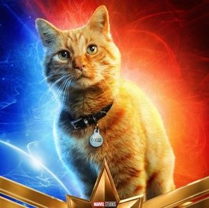 Meet your Posher, Holly